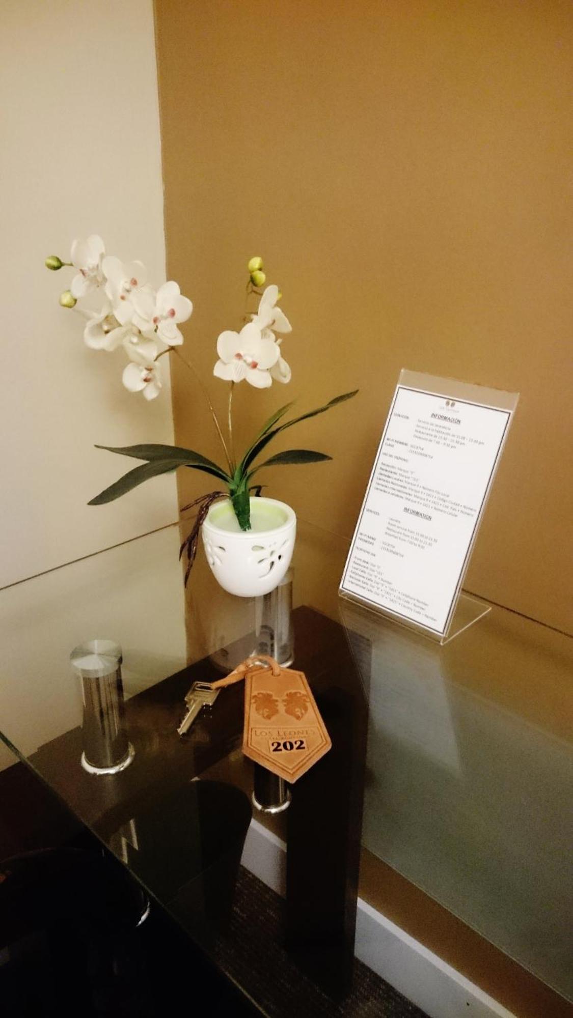 Los Leones Hotel Boutique Yanahuara Cameră foto